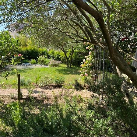 Studio Apartment Elena زادار المظهر الخارجي الصورة
